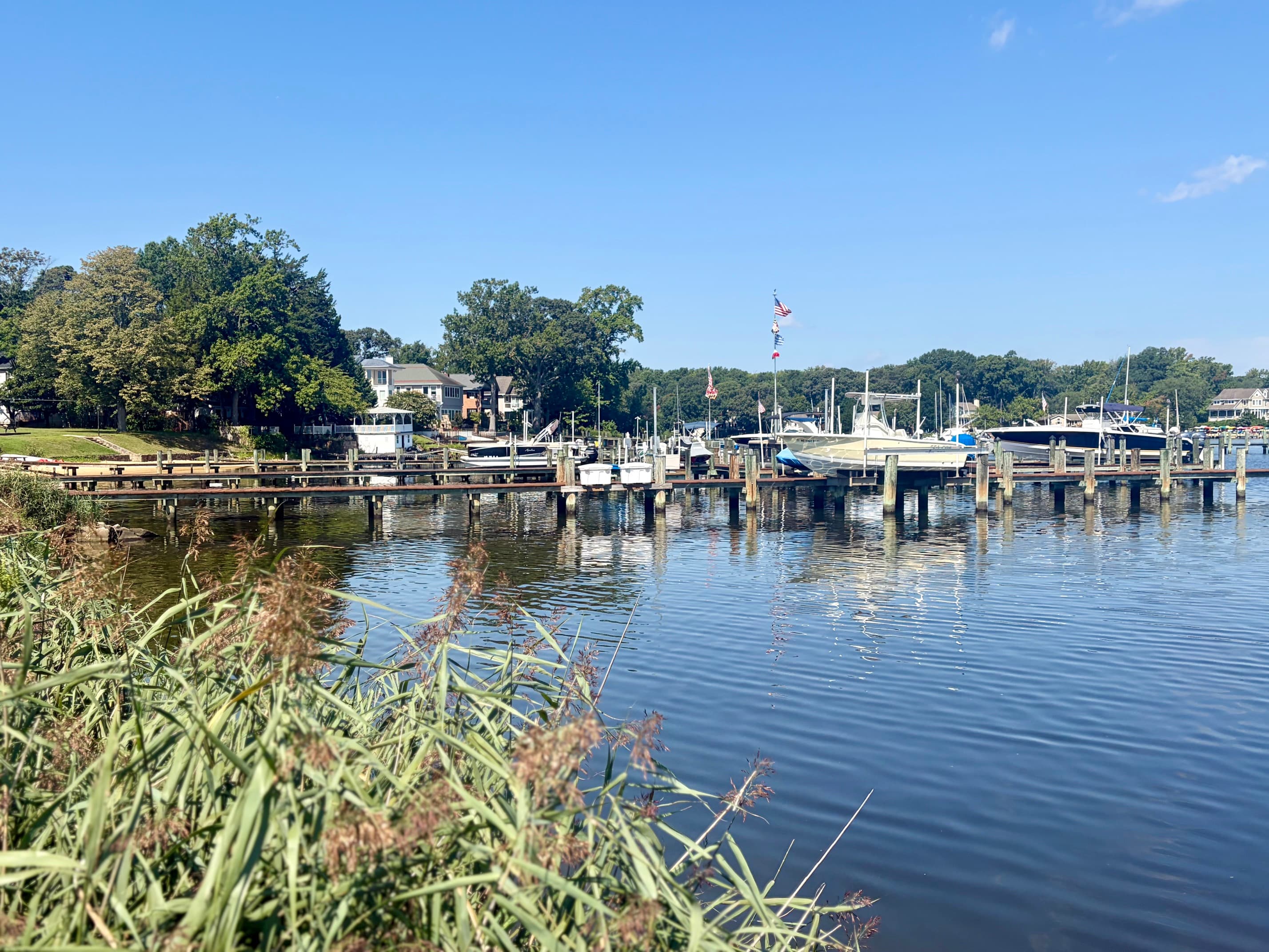 A marina full of boats on the water in Severna Park